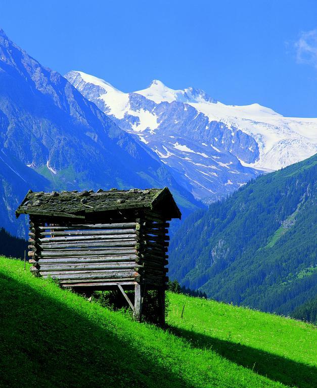 Haus Egger Apartment Neustift im Stubaital Bagian luar foto