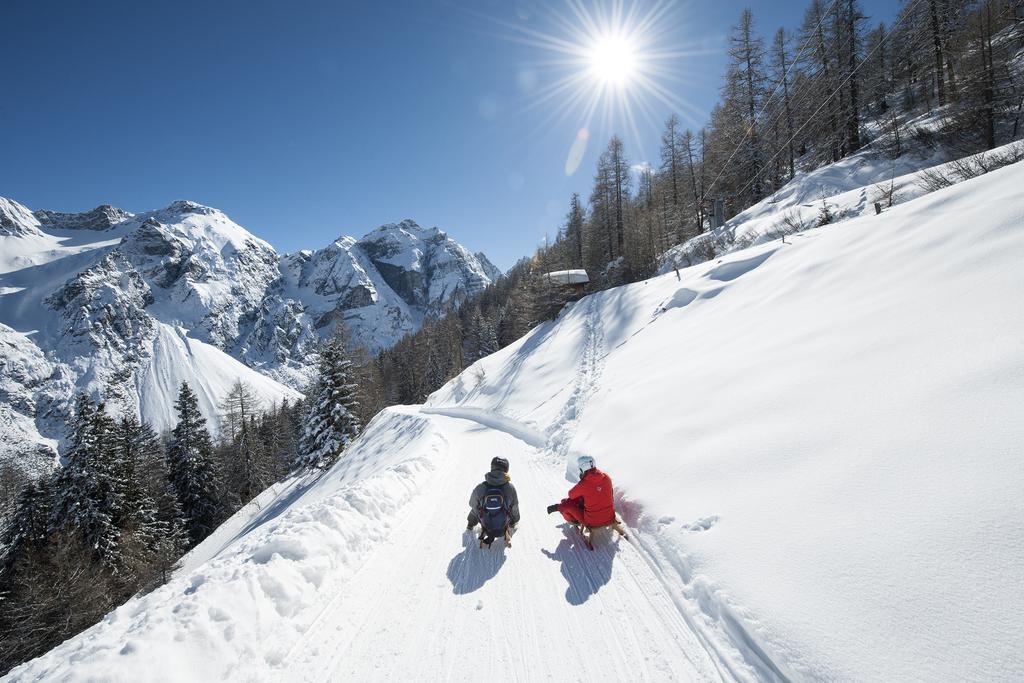 Haus Egger Apartment Neustift im Stubaital Bagian luar foto
